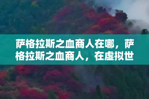 在虚拟世界的财富与冒险图片