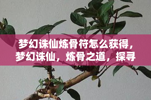 梦幻诛仙炼骨符怎么获得图片