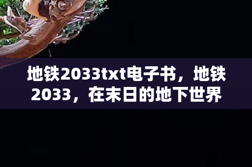 地铁2033txt电子书图片