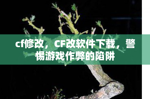 警惕游戏作弊的陷阱图片