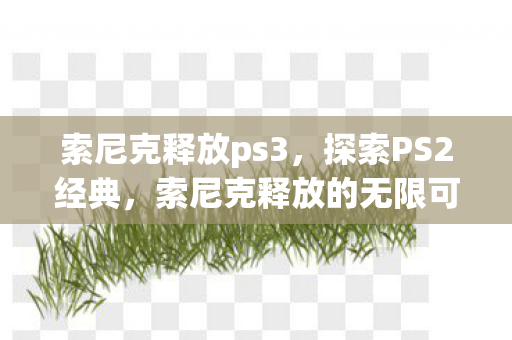 索尼克释放的无限可能图片