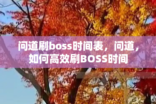 如何高效刷BOSS时间图片