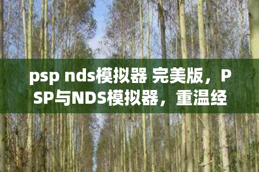 psp nds模拟器 完美版图片