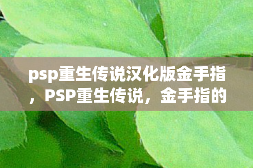 psp重生传说汉化版金手指图片