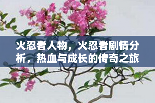 热血与成长的传奇之旅图片