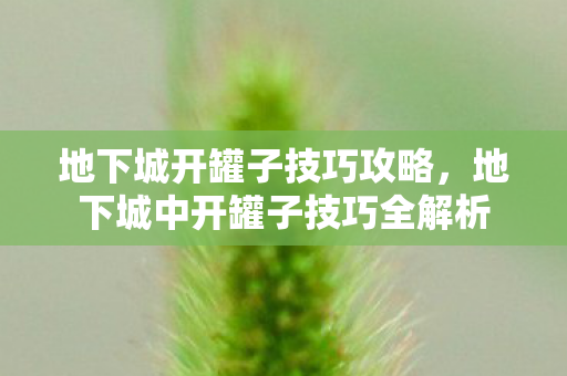 地下城中开罐子技巧全解析图片