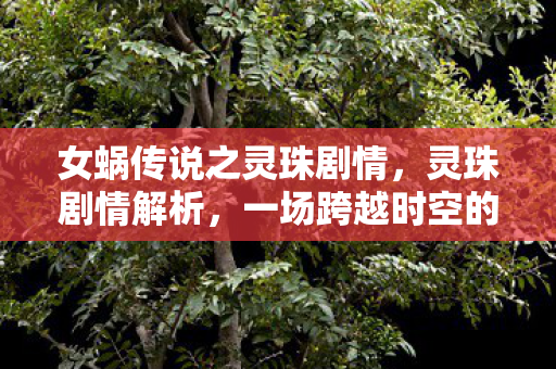 一场跨越时空的奇幻之旅图片