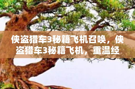 侠盗猎车3秘籍飞机召唤图片