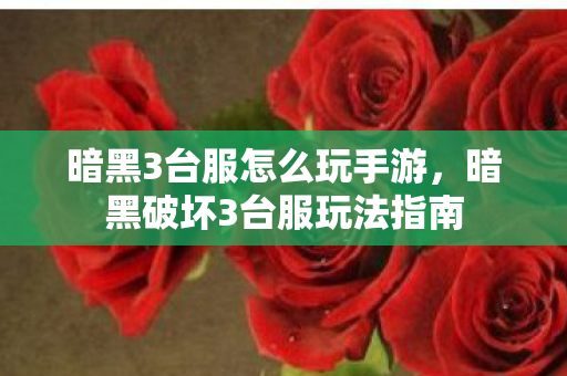 暗黑破坏3台服玩法指南图片