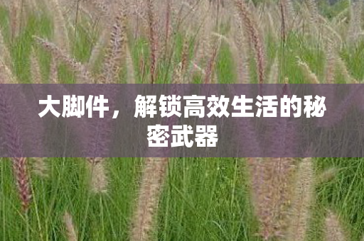 解锁高效生活的秘密武器图片