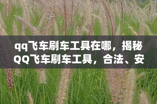qq飞车刷车工具在哪图片