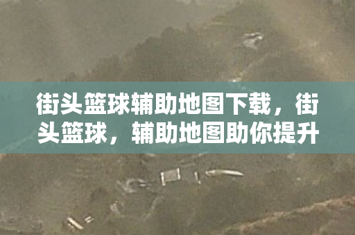 街头篮球辅助地图下载图片