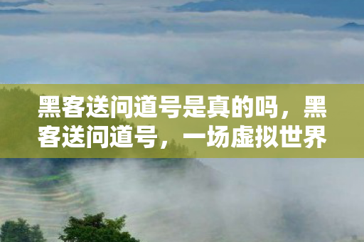 一场虚拟世界的神秘礼物图片