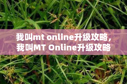 我叫mt online升级攻略，我叫MT Online升级攻略