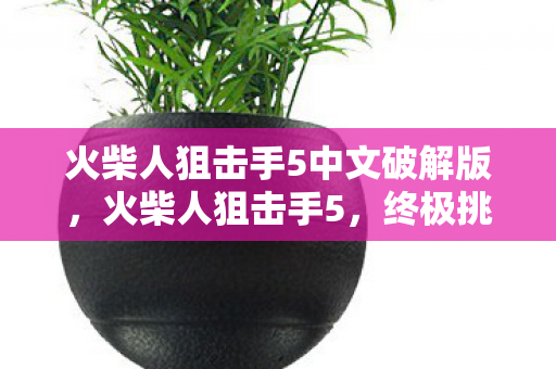 火柴人狙击手5中文破解版，火柴人狙击手5，终极挑战与荣耀