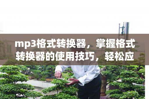 mp3格式转换器，掌握格式转换器的使用技巧，轻松应对各种文件格式