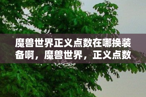 魔兽世界正义点数在哪换装备啊图片