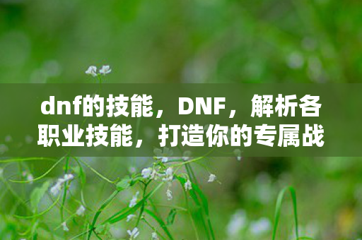 打造你的专属战斗风格图片