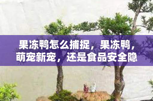 还是食品安全隐患图片