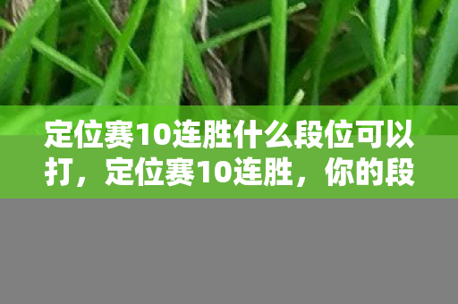 定位赛10连胜什么段位可以打图片