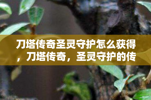 刀塔传奇圣灵守护怎么获得图片