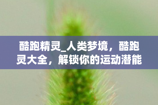 解锁你的运动潜能图片