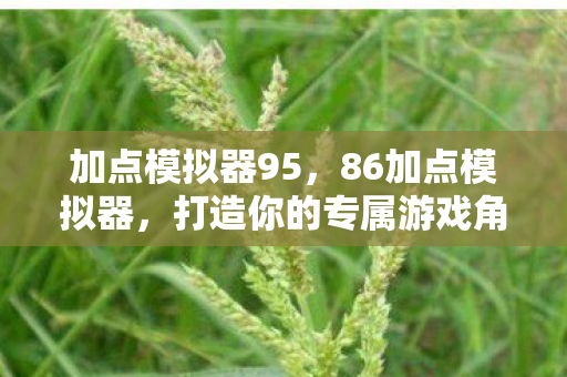 打造你的专属游戏角色图片