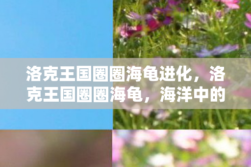 洛克王国圈圈海龟进化图片