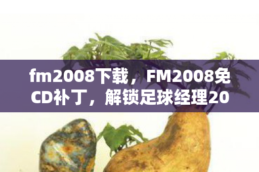 解锁足球经理2008的无限可能图片