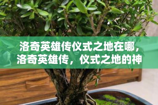 洛奇英雄传仪式之地在哪，洛奇英雄传，仪式之地的神秘面纱