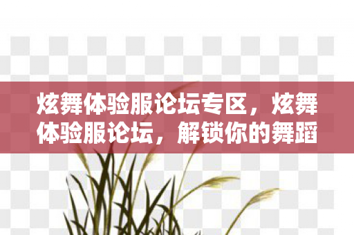 炫舞体验服论坛专区图片