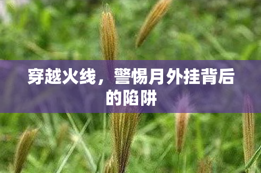 警惕月外挂背后的陷阱图片