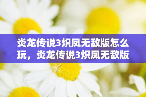 炎龙传说3炽凤无敌版怎么玩图片