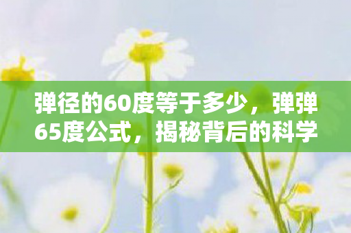 揭秘背后的科学原理与应用图片