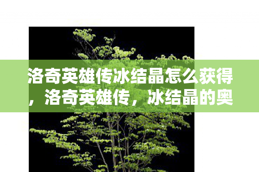 洛奇英雄传冰结晶怎么获得，洛奇英雄传，冰结晶的奥秘与力量