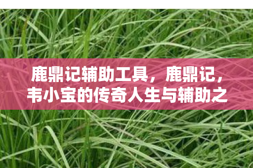 韦小宝的传奇人生与辅助之道图片