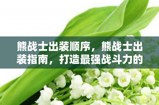 打造最强战斗力的装备搭配图片