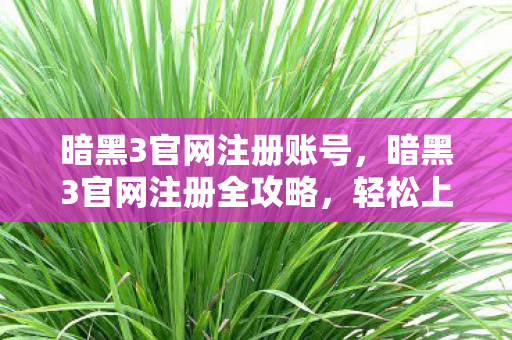 暗黑3官网注册全攻略图片