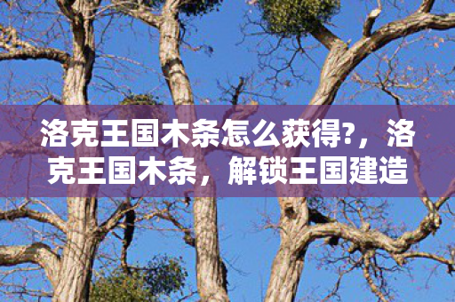 洛克王国木条怎么获得图片