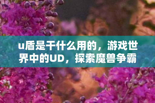 探索魔兽争霸3中的不死族图片