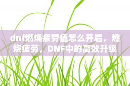 DNF中的高效升级与装备提升策略图片