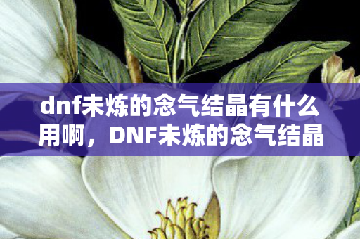 dnf未炼的念气结晶有什么用啊图片