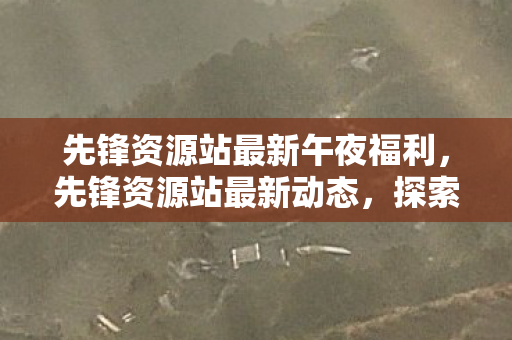 先锋资源站最新午夜福利图片