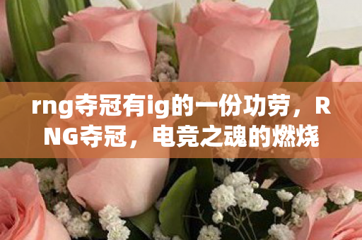 rng夺冠有ig的一份功劳图片