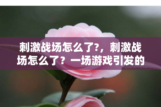 一场游戏引发的全民热议图片