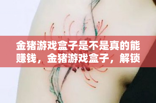 金猪游戏盒子是不是真的能赚钱图片