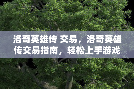 洛奇英雄传 交易，洛奇英雄传交易指南，轻松上手游戏内交易系统