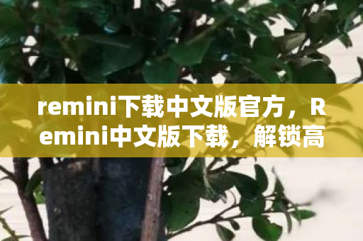 remini下载中文版官方图片