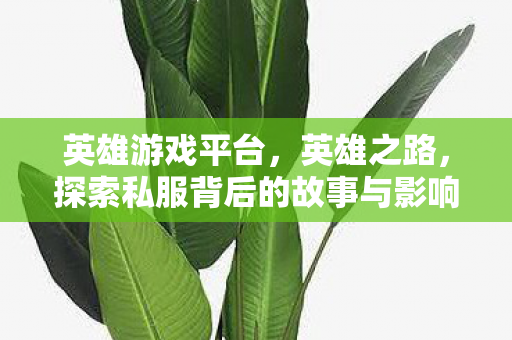 探索私服背后的故事与影响图片