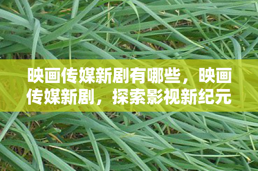 映画传媒新剧有哪些图片